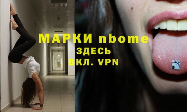 Альфа ПВП Аркадак