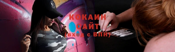 Альфа ПВП Аркадак
