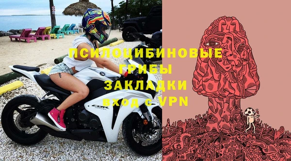Альфа ПВП Аркадак