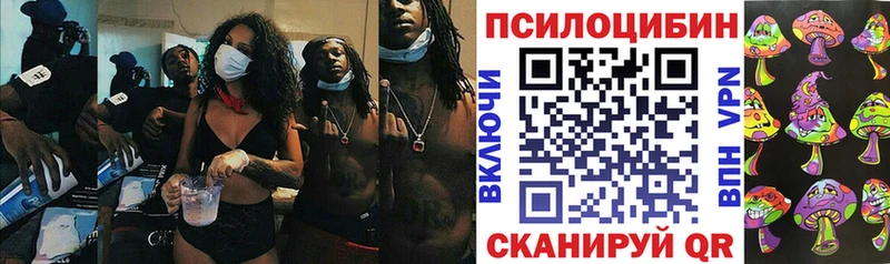 Псилоцибиновые грибы Psilocybine cubensis Верхняя Салда